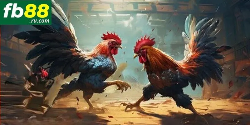 Theo dõi và áp dụng kinh nghiệm cá cược chiến kê thông minh thu lời cao